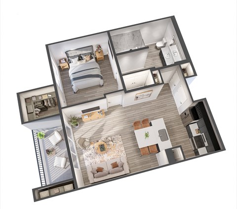 Ilumina On Raiders Way